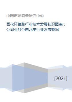固化環(huán)氧膠行業(yè)技術(shù)發(fā)展?fàn)顩r、業(yè)務(wù)范圍及北美市場概況