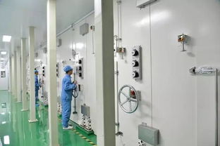 樂凱成功通過中國智造評審，智能網絡設備再添新標桿